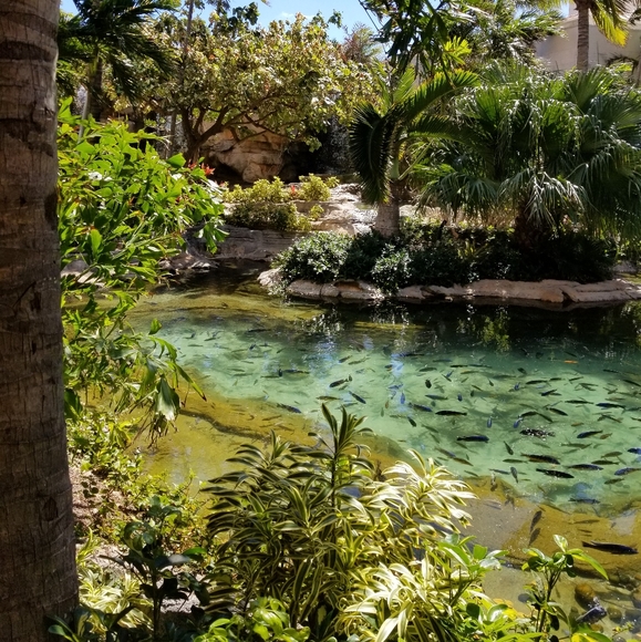 Meet your Posher, Daniella - Picture 2 of 2